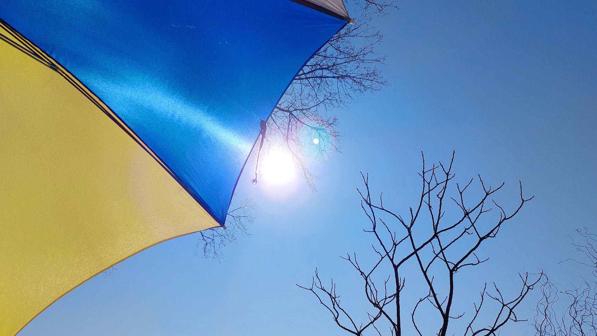 Zonnig weer in maart. Foto: Ries Rombouts