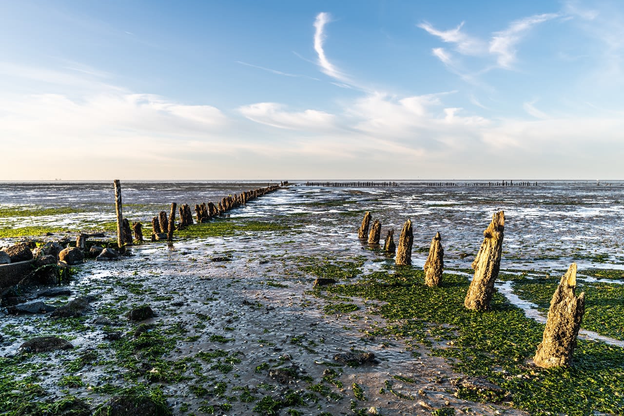 Mooie bestemmingen, Waddenzee