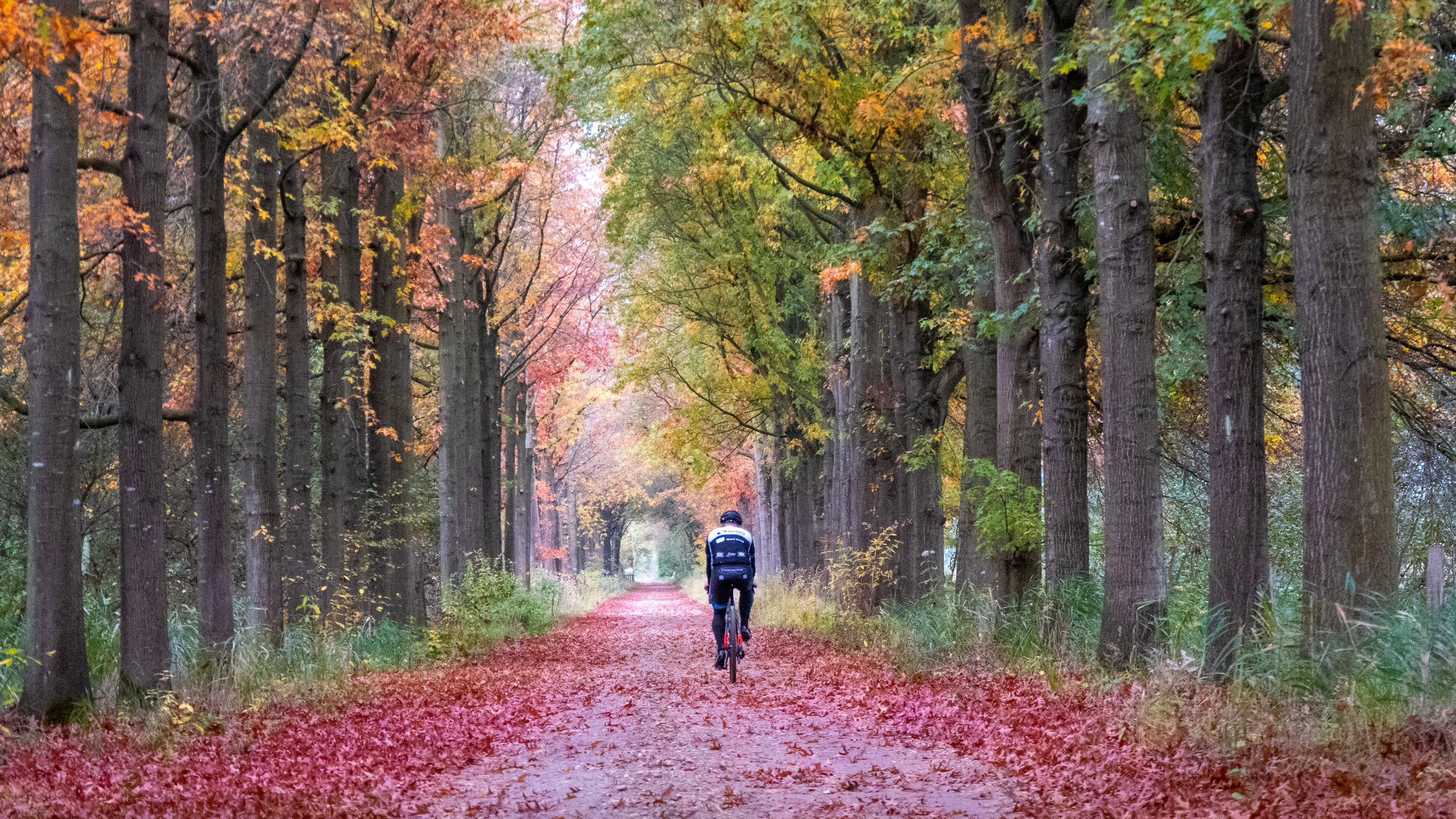 De natuur is deze weken erg kleurrijk. Foto: Jos Hebben