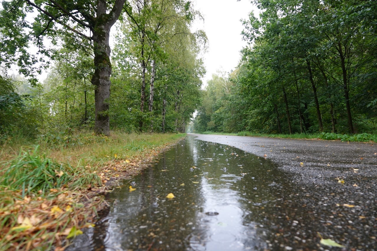 tijdelijk wisselvallig, regen, buien, plassen