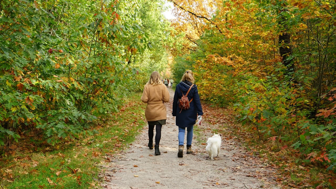 Wandelen in de herfst. Foto: Toon Boons.