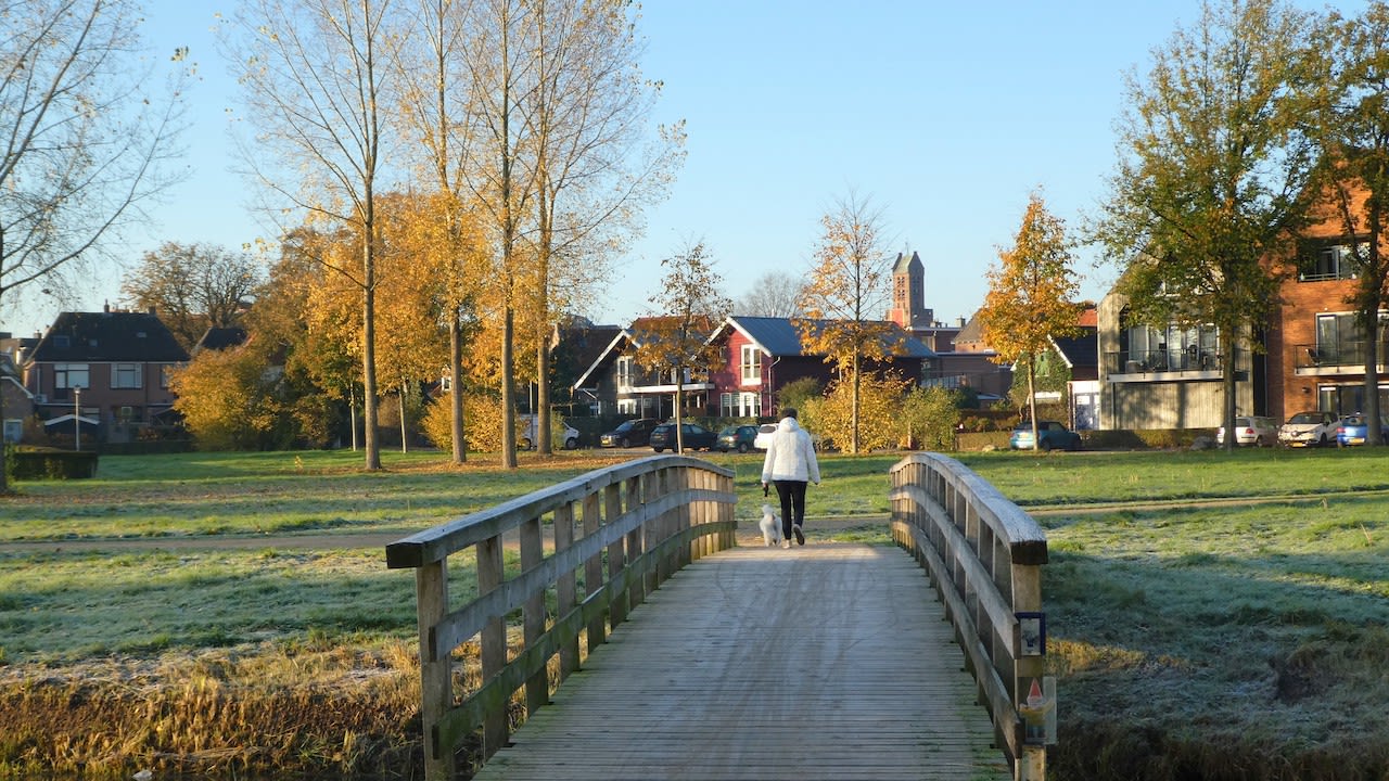Het kan begin december wat winters aan gaan doen. Foto: WIlly Bonnink-Naves