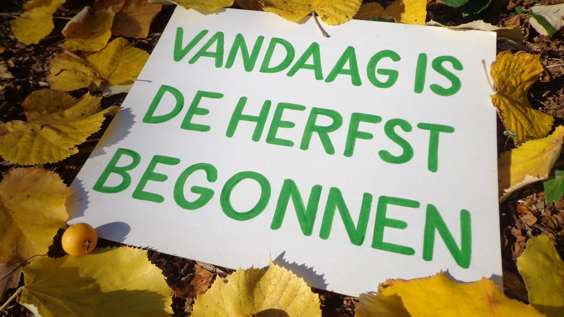 Astronomische herfst