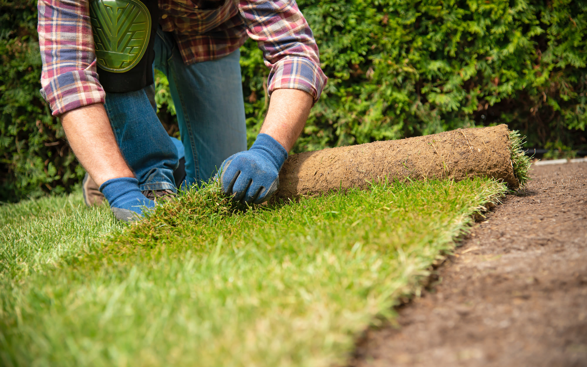 Man legt grasmatten in de tuin