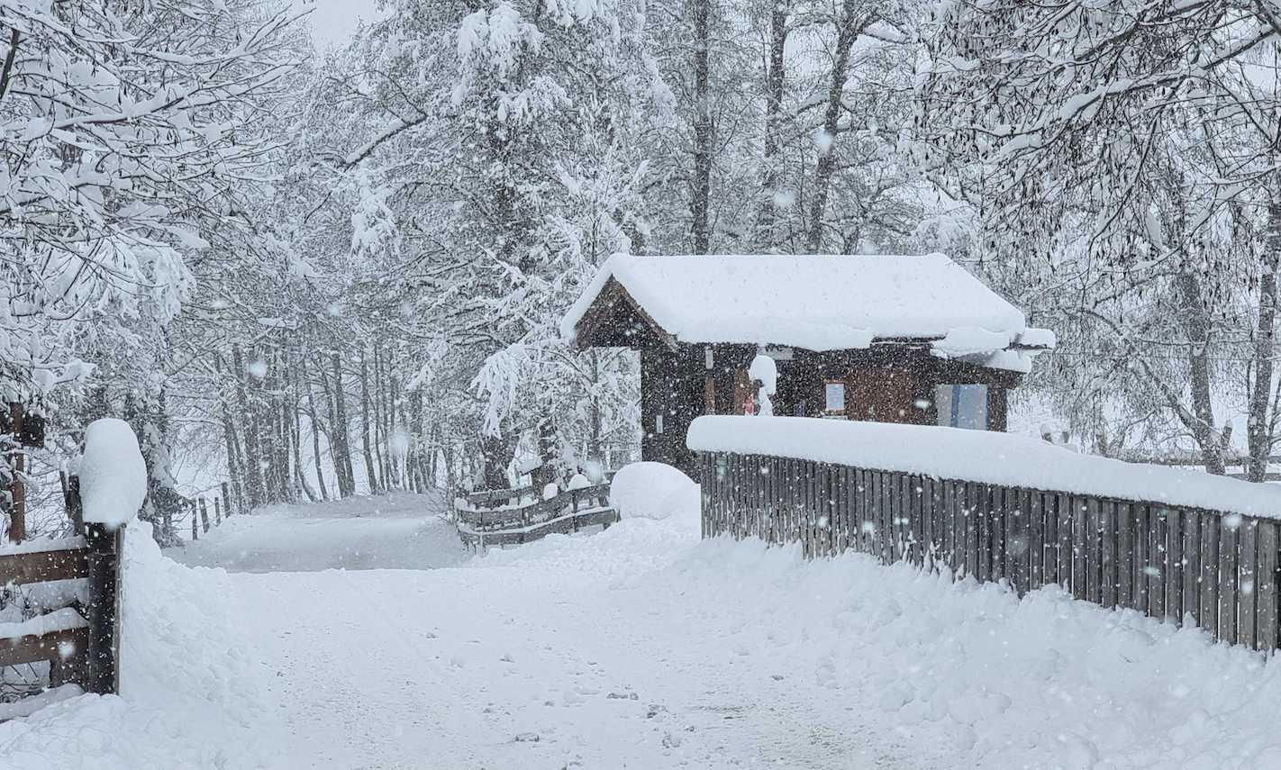 sneeuw alpen oostenrijk