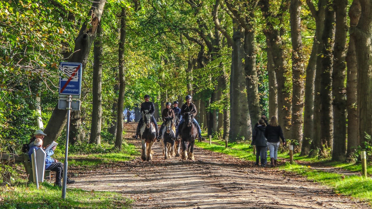 Herfstvakantie - Najaarsweer - Buitenactiviteiten - Zonnig en zacht - Wandelen - Paardrijden
