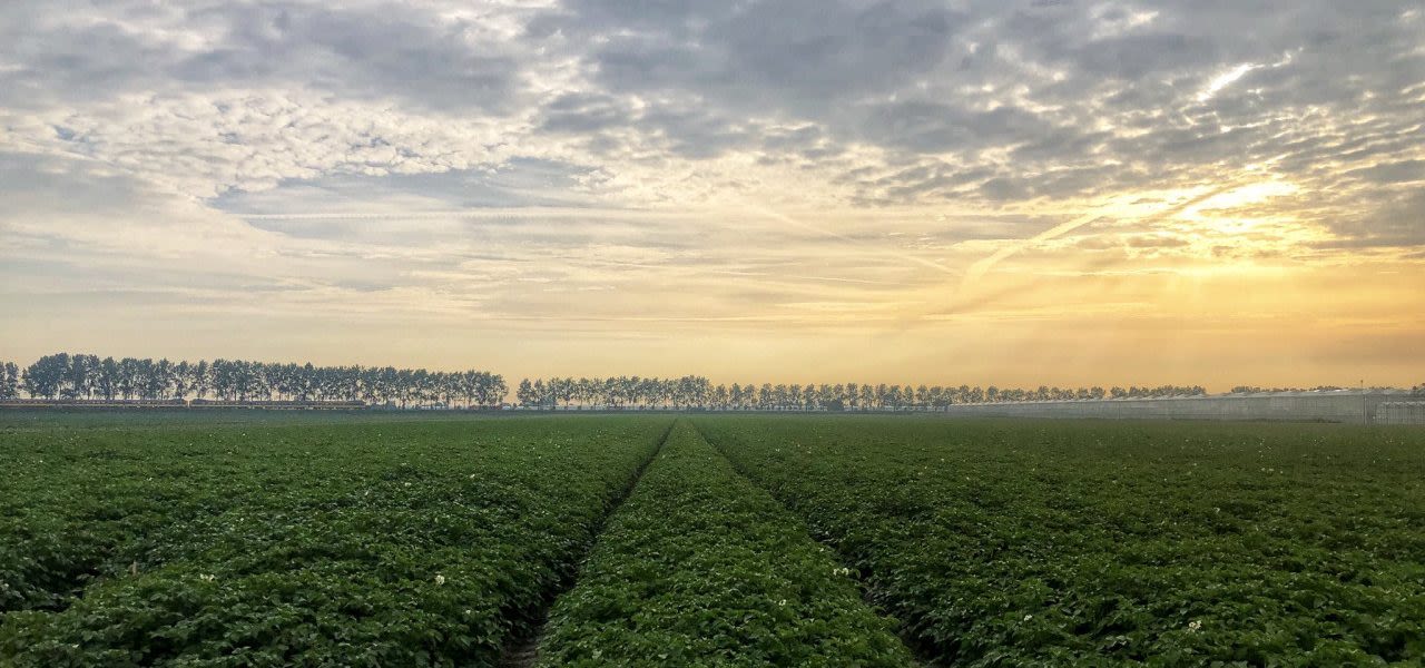 Jolanda-Bakker-zonsopkomst-in-akker-west-Nederland-1280x600
