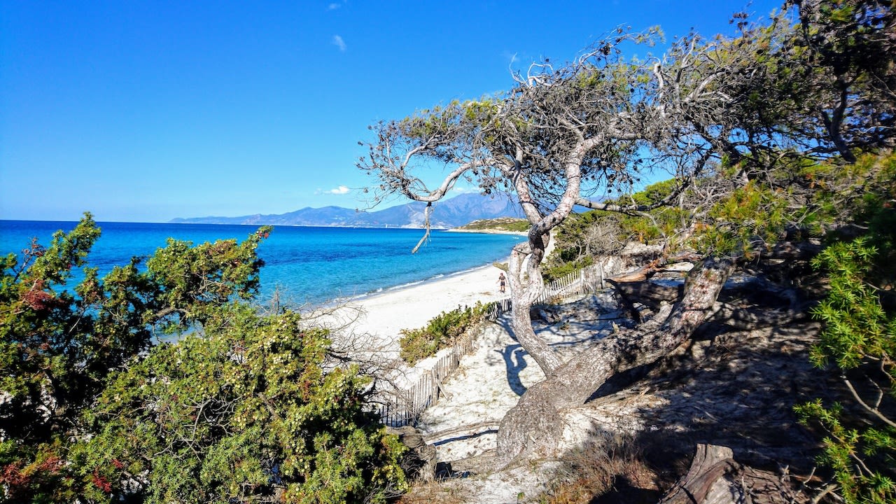 Plage de Saleccia Sardinië. Foto: AdobeStock / Rachid.