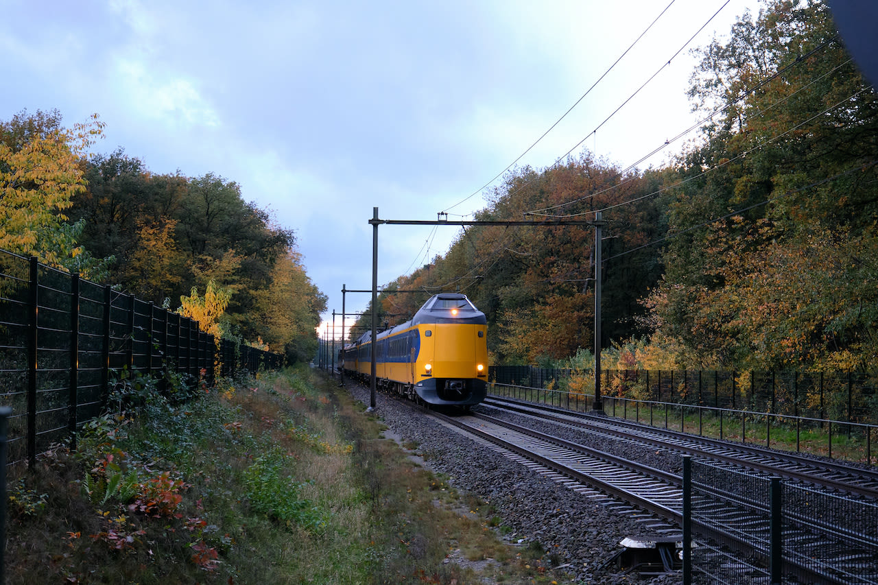 Trein tussen de herfstbomen