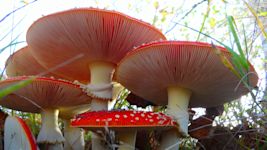 Opvallend: oktober was zowel nat als zonnig