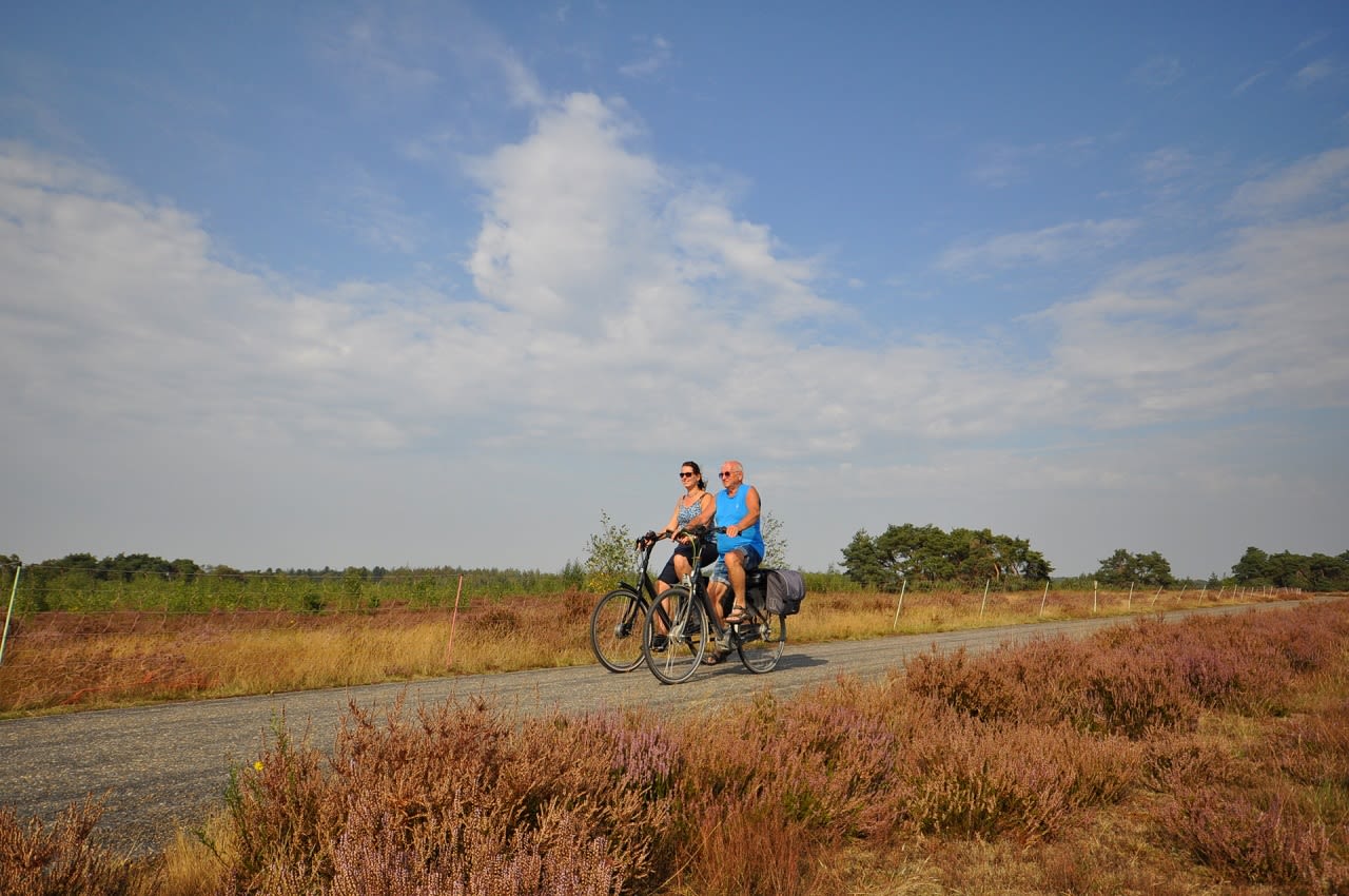 Bloeiende heide, fietsen, nazomer.
Foto: Ben Saanen