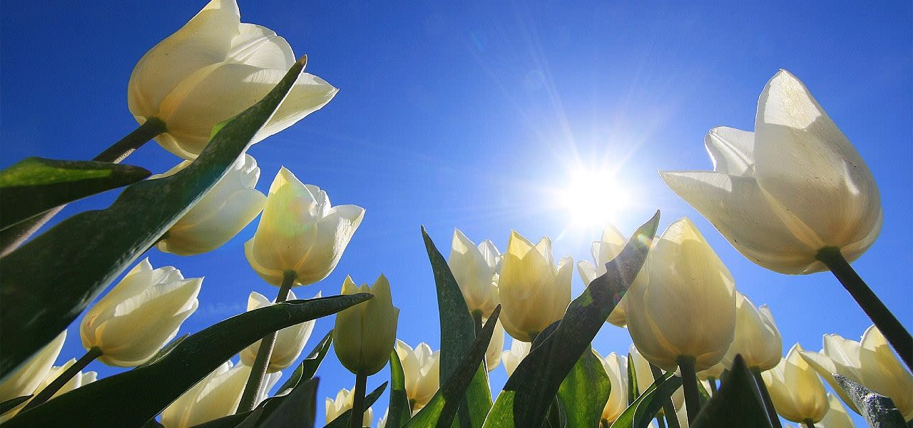 weerfotoaprilnormaalJW-1280x600