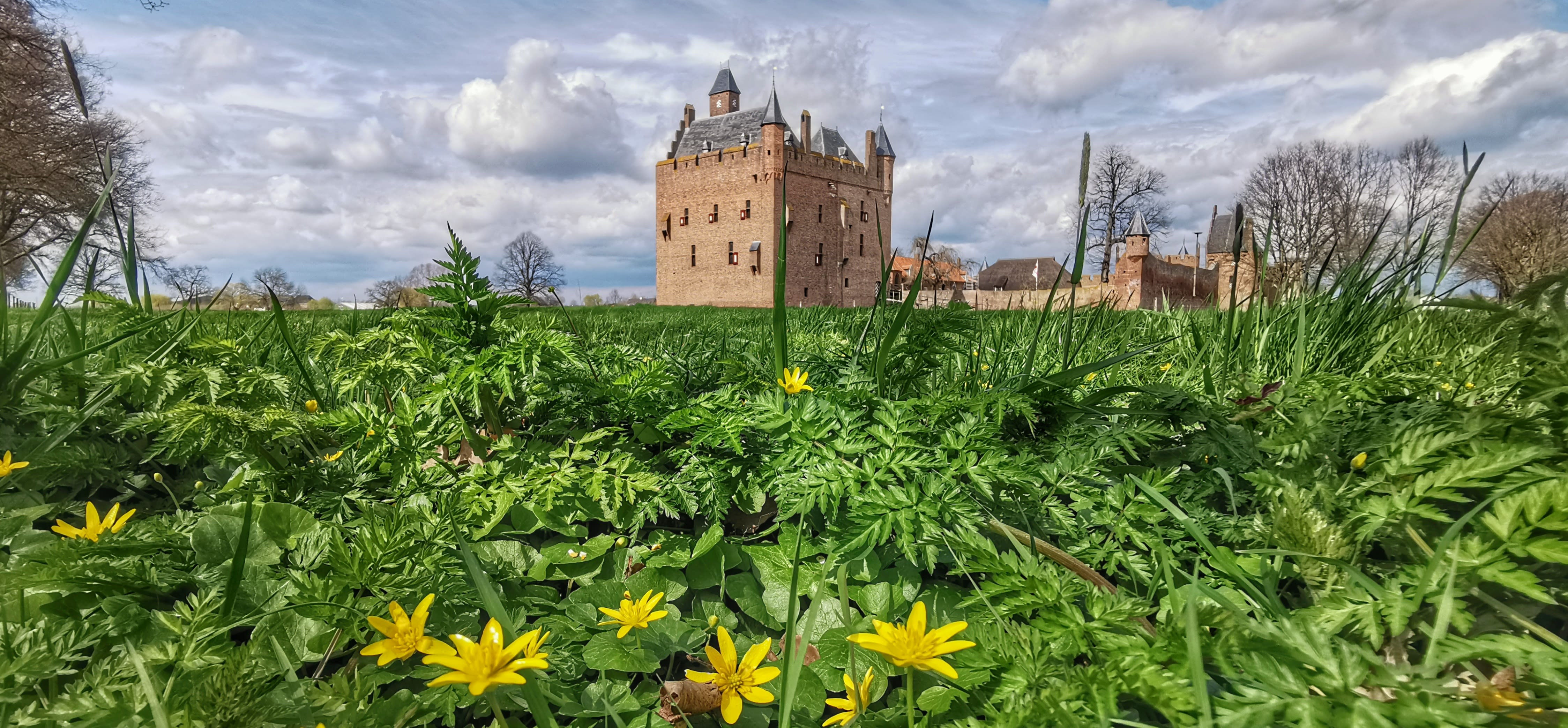 Kasteel op mooie lentedag met kale bomen
