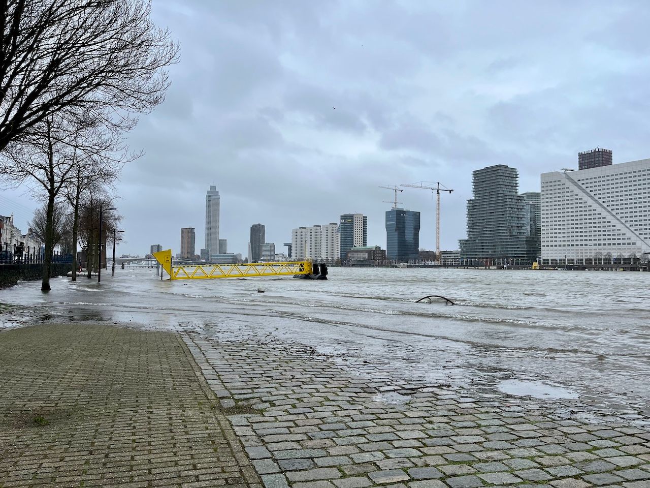 Ondergelopen kades langs de Maas in Rotterdam. Foto: Maddy Koster