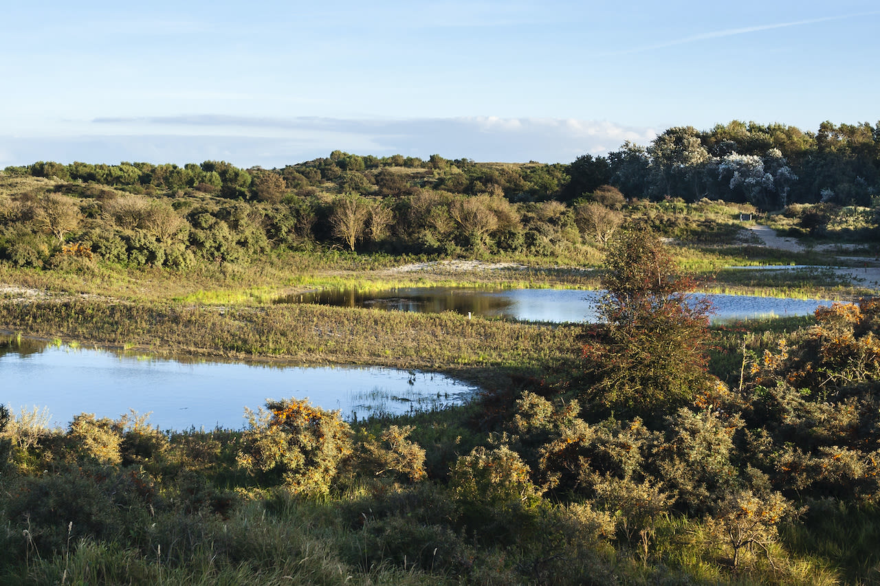 Meijendel