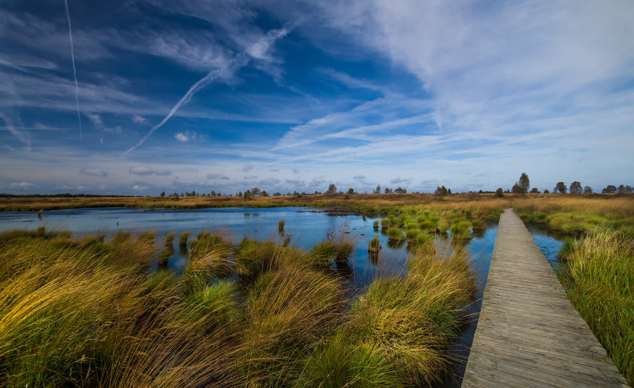De Hoge Venen is een van de weinige plaatsen waar het tijdens IJsheiligen nog kan afkoelen tot onder het vriespunt. Foto: Adobe Stock / Puravidaniel