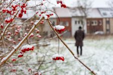 Zacht weekend voorafgegaan door sneeuw