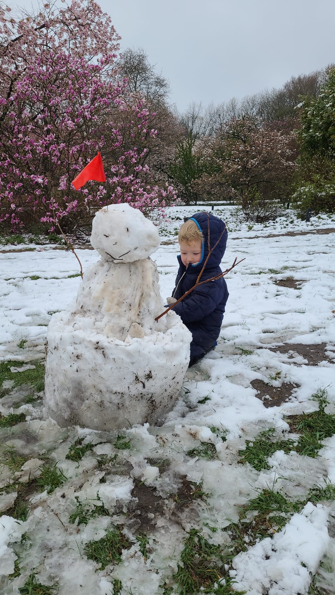 Sneeuwpop op 31 maart 2022 in Wageningen met op de achtergrond een bloeiende magnolia. Foto: Els van Dijk.