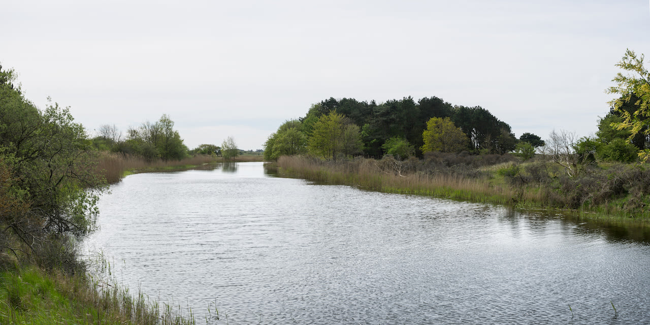 Waterleidingduinen