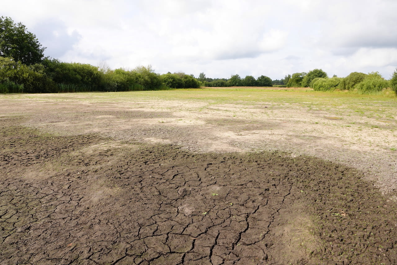 Droogte in de natuur. Foto: Ben Saanen.