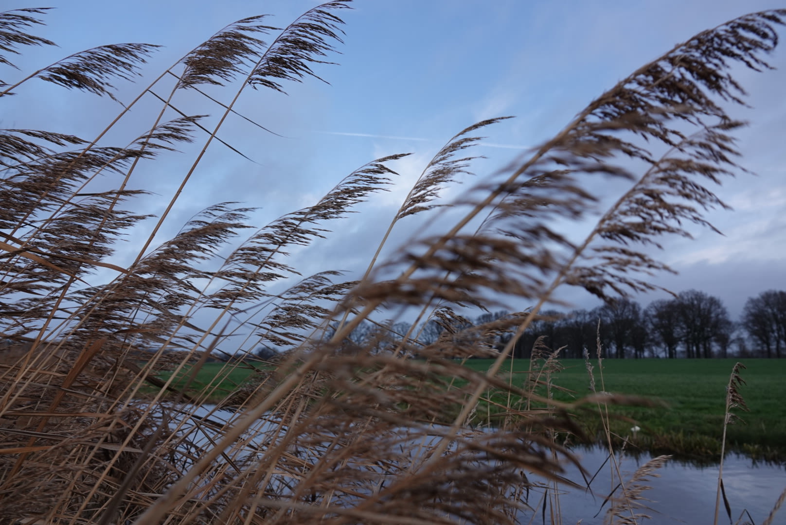 Veel wind. Foto: Willem van Nunen