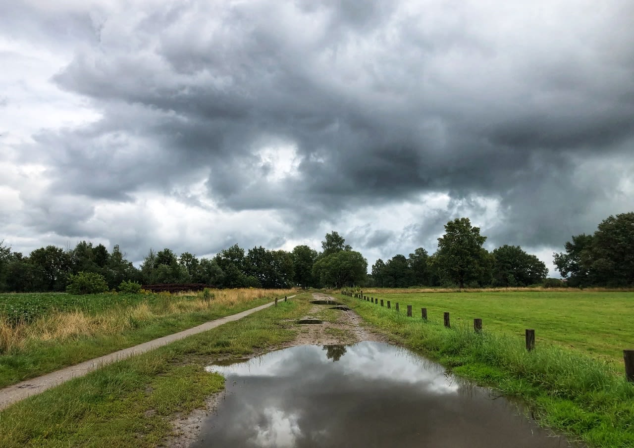 Door de uitgedroogde bodem treedt nog eerder wateroverlast op. Foto: Lammie van Elp