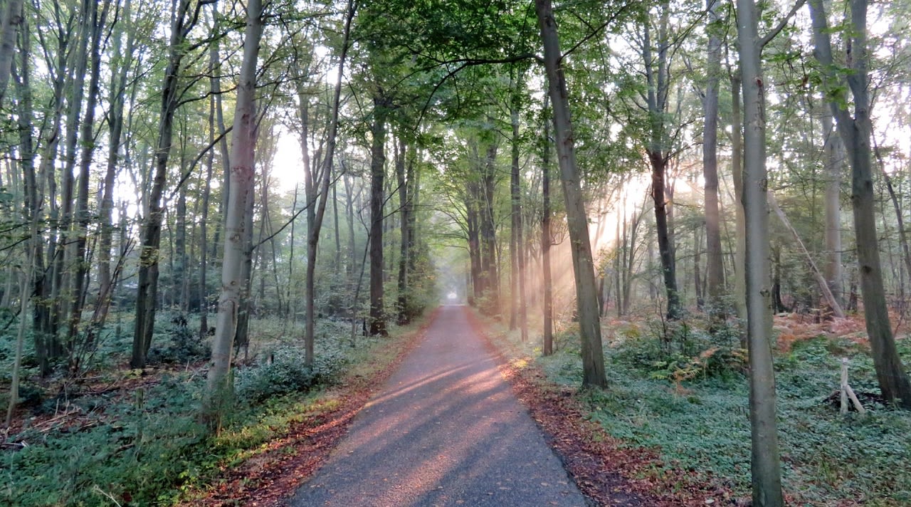 wandelen in herfstvakantie