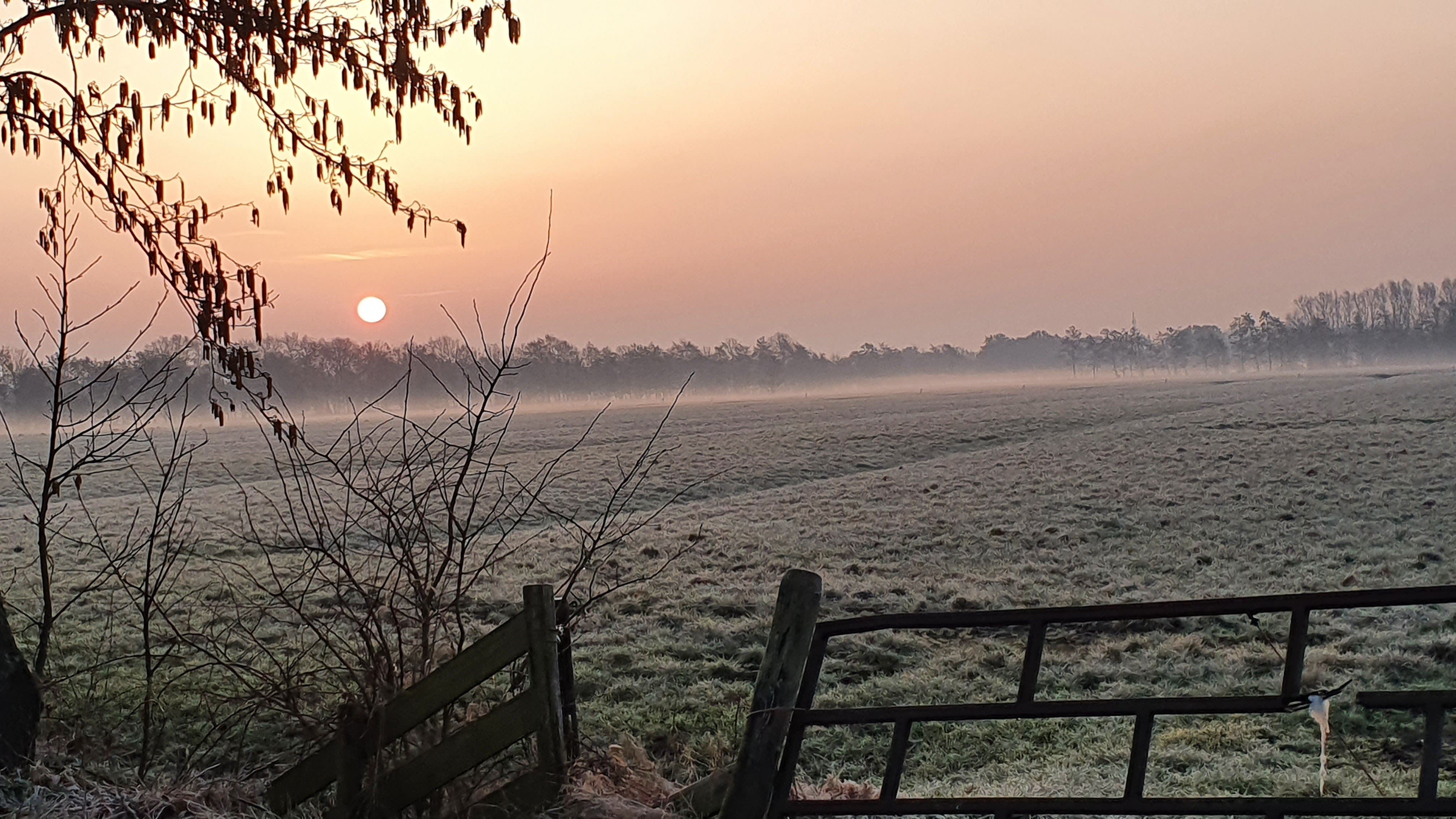Koud weer met vorst en rijp
Foto: Karin Walinga