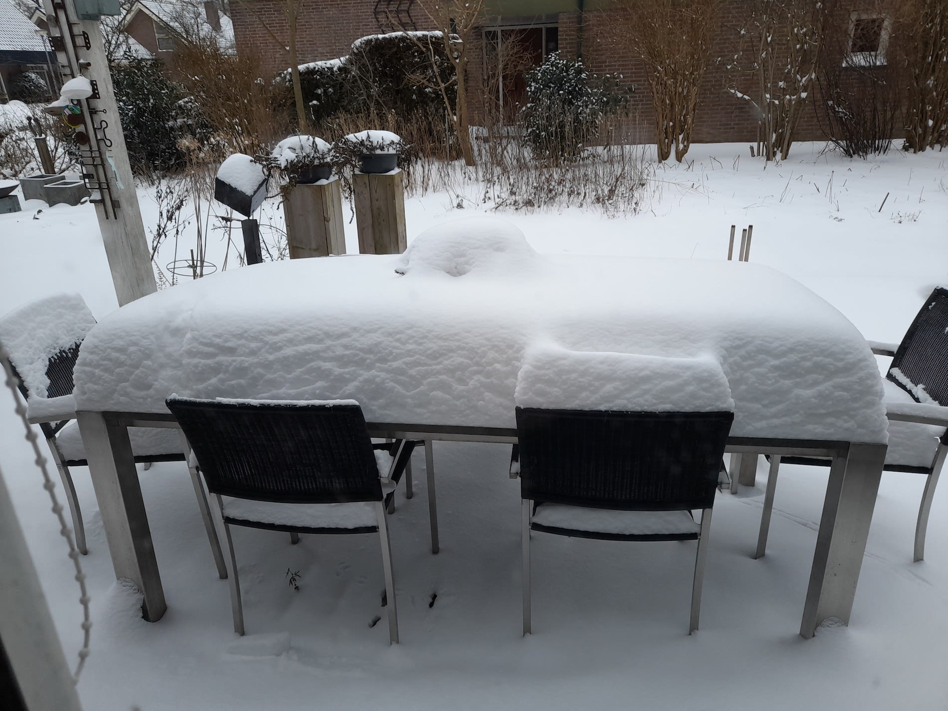 Sneeuw in de tuin in 2021. Foto: Tiny Post