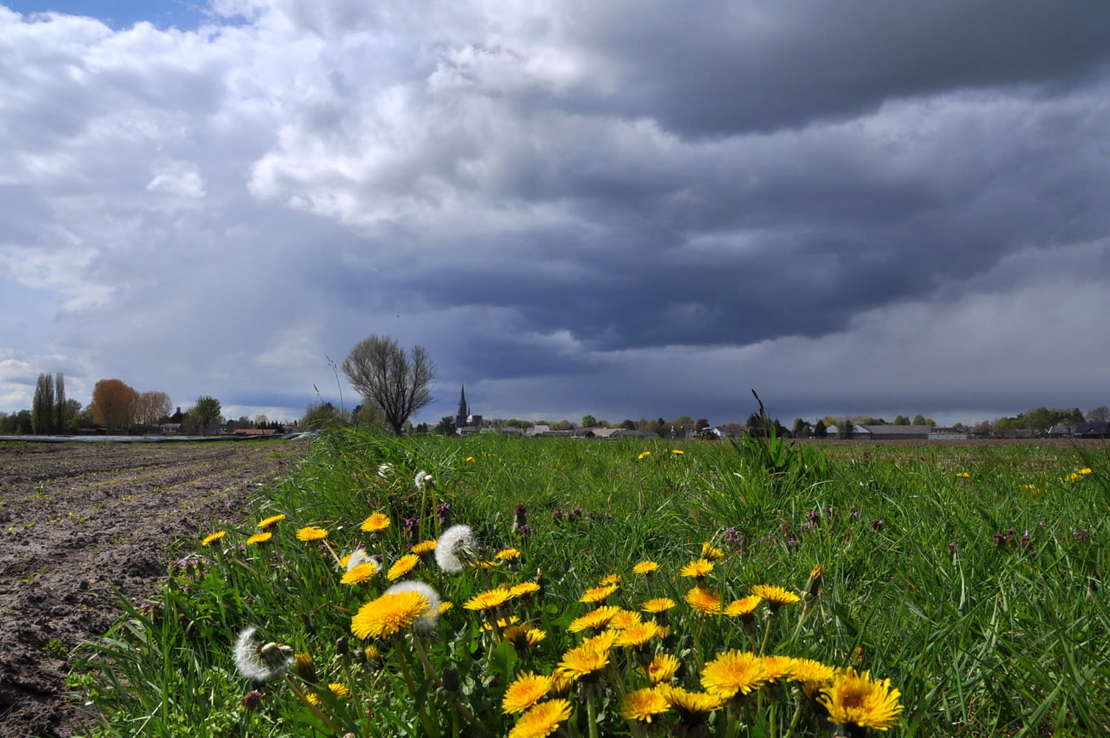 Onstuimig lenteweer met buien en veel wind tijdens Dodenherdenking en Bevrijdingsdag.
Foto: Ben Saanen