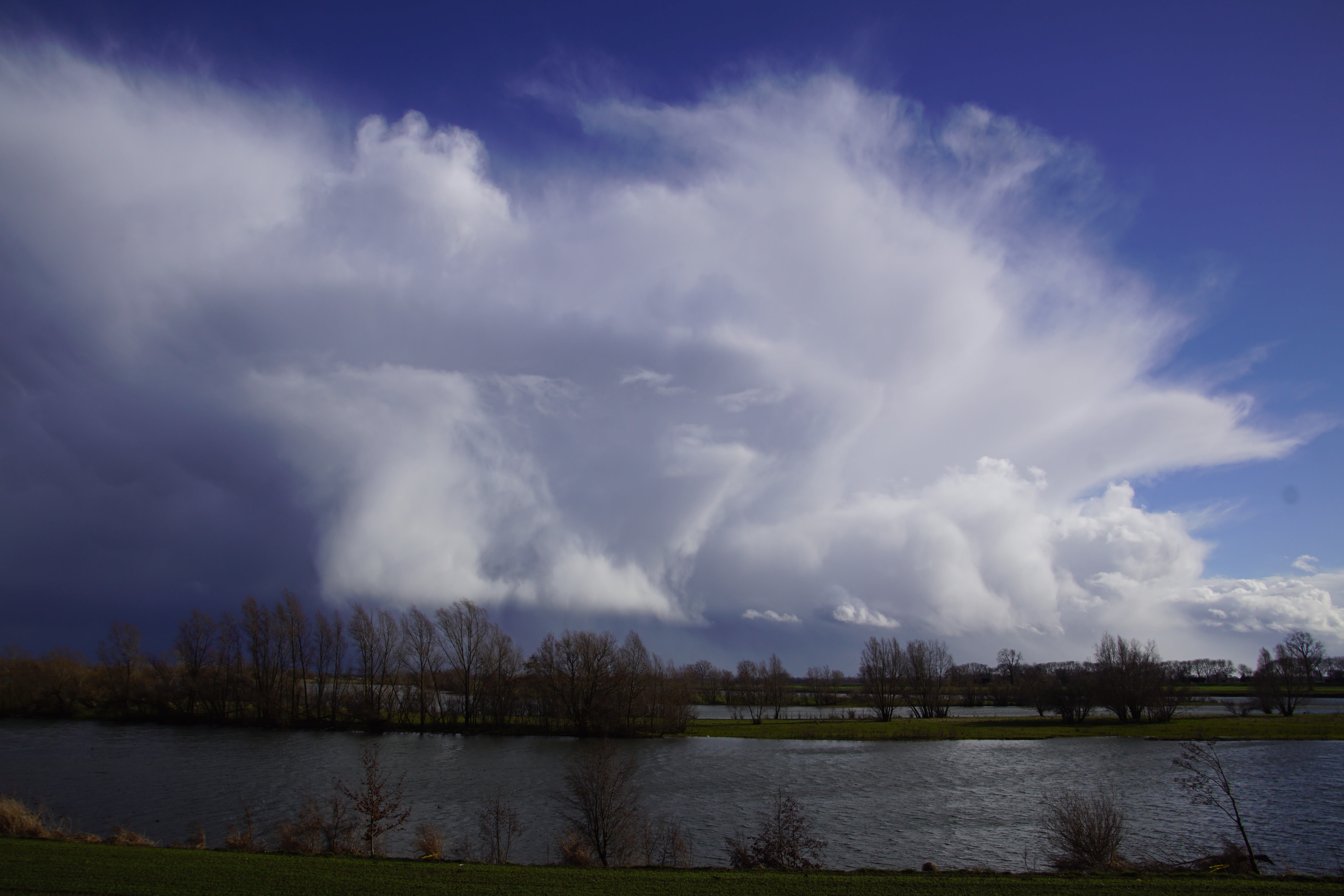 Maartse buien
Foto: Edwin Barendrecht