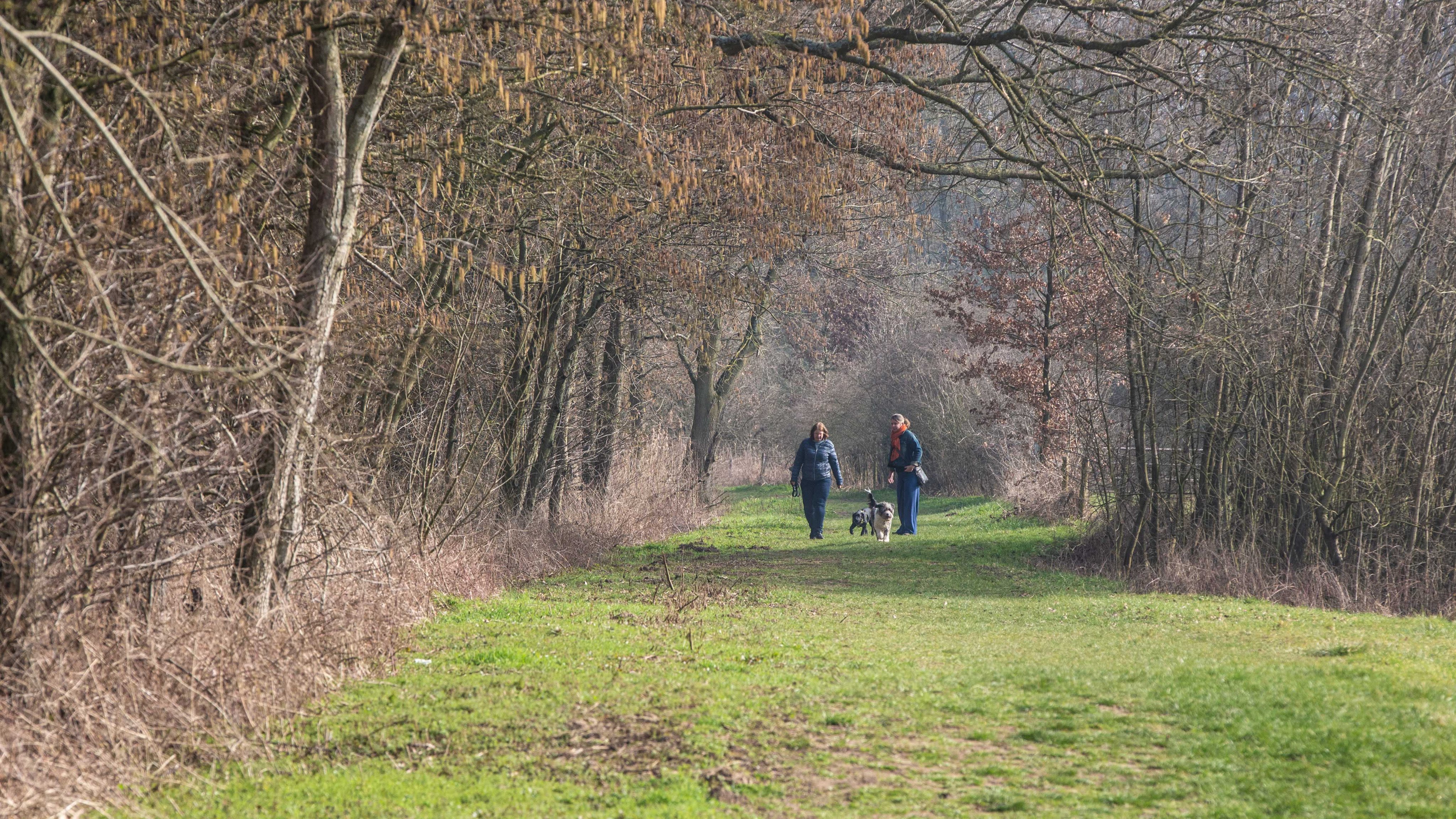 Wandelen met de hond op een vrij zonnige dag in maart, maar de dikke jas is nog wel nodig