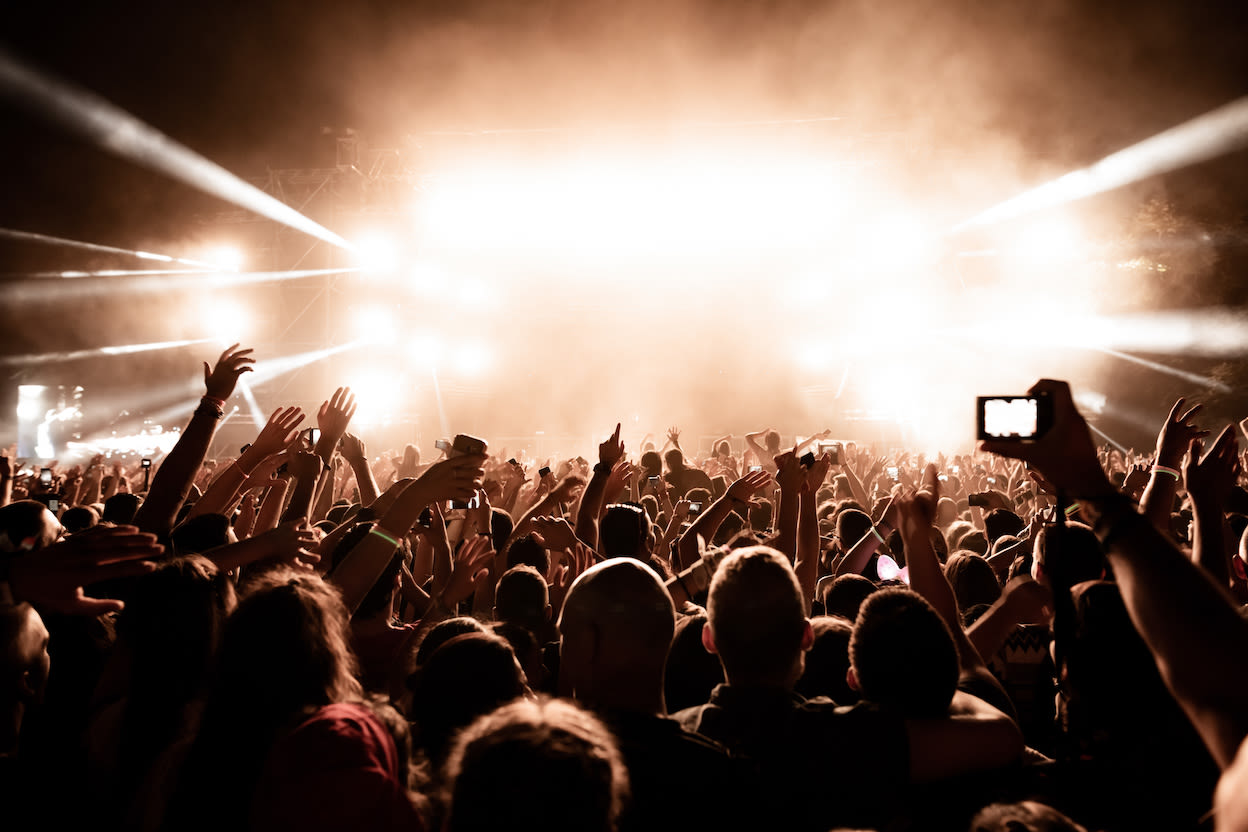 Muziekfestival, foto: AdobeStock / Drazen