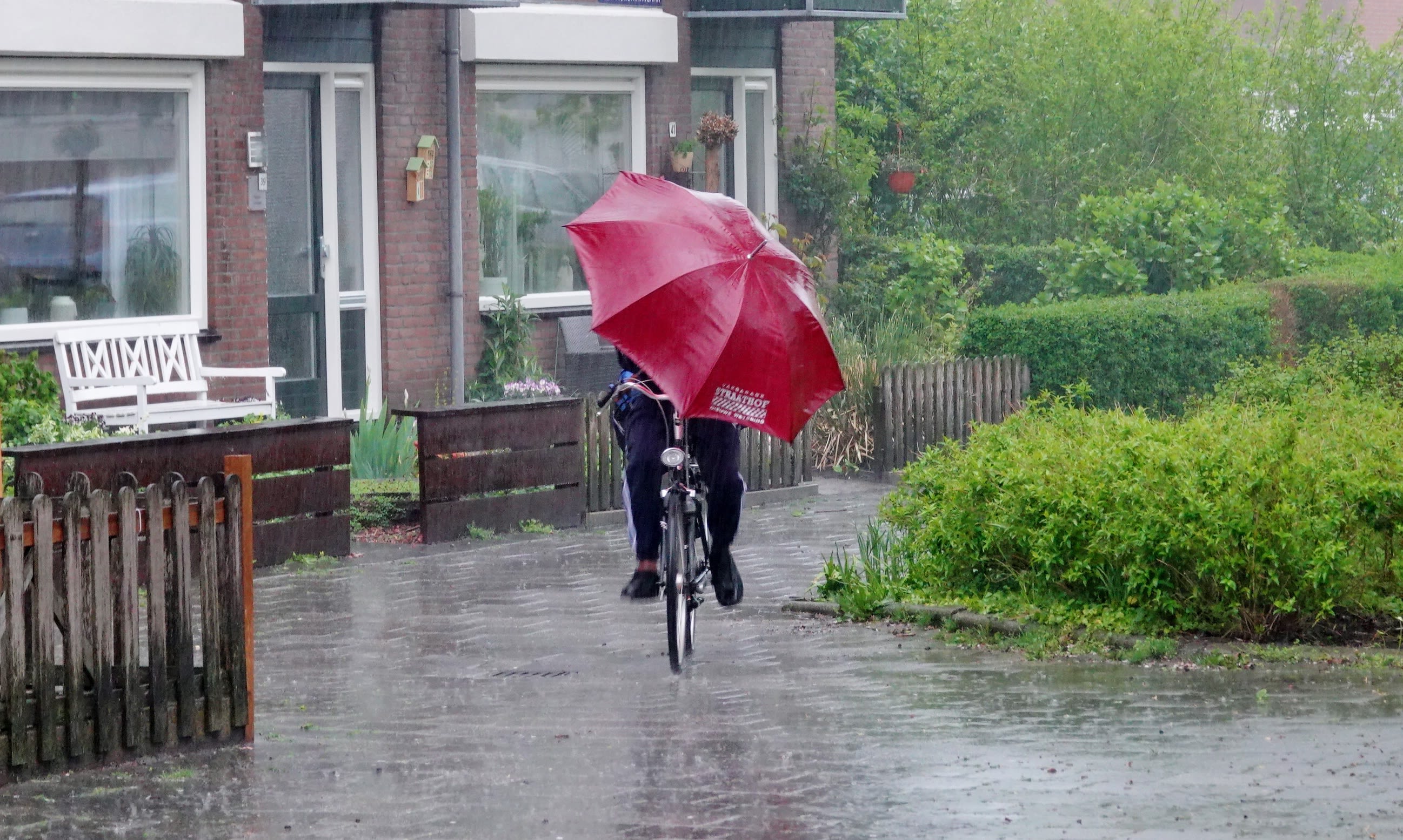 Persoon fietst door een zware bui met een rode paraplu