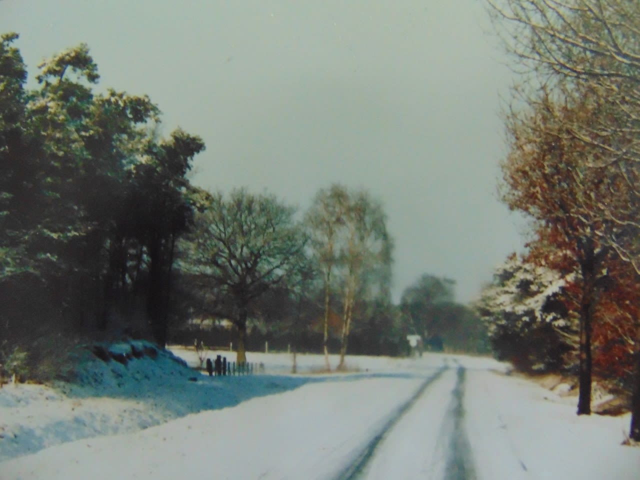 In de jaren 80 viel bijna elke winter wel een pak sneeuw. Foto: Peter Jansen