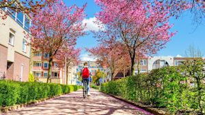 Weekendweer: zo zonnig wordt het