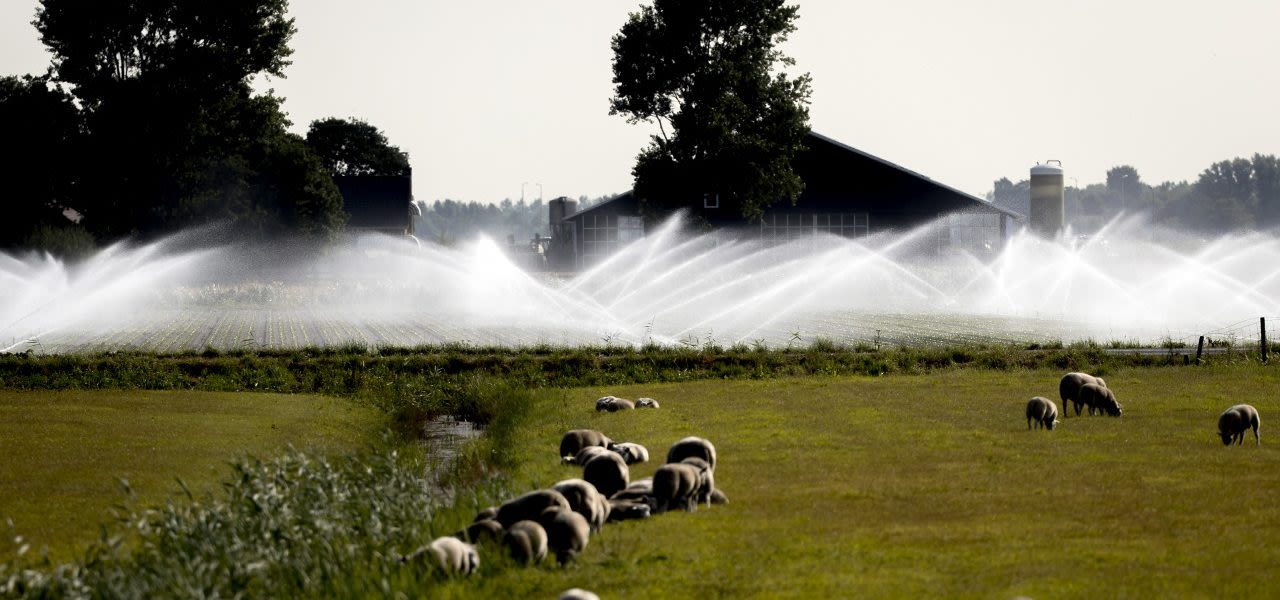 ANP-droogte-nog-lang-niet-voorbij-1280x600