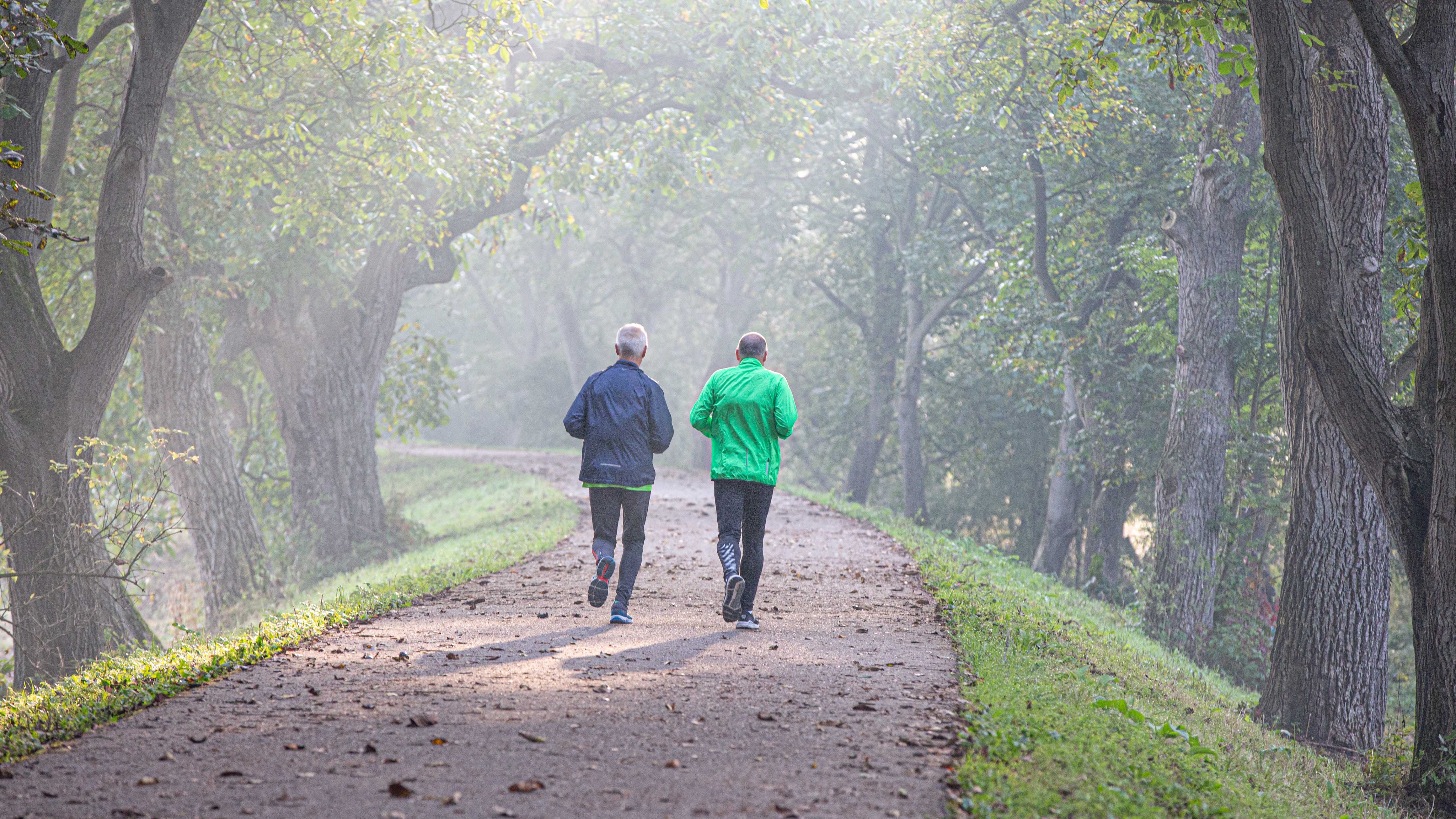 Hardlopen tijdens rustig herfstweer op dijkje tussen de bomen
