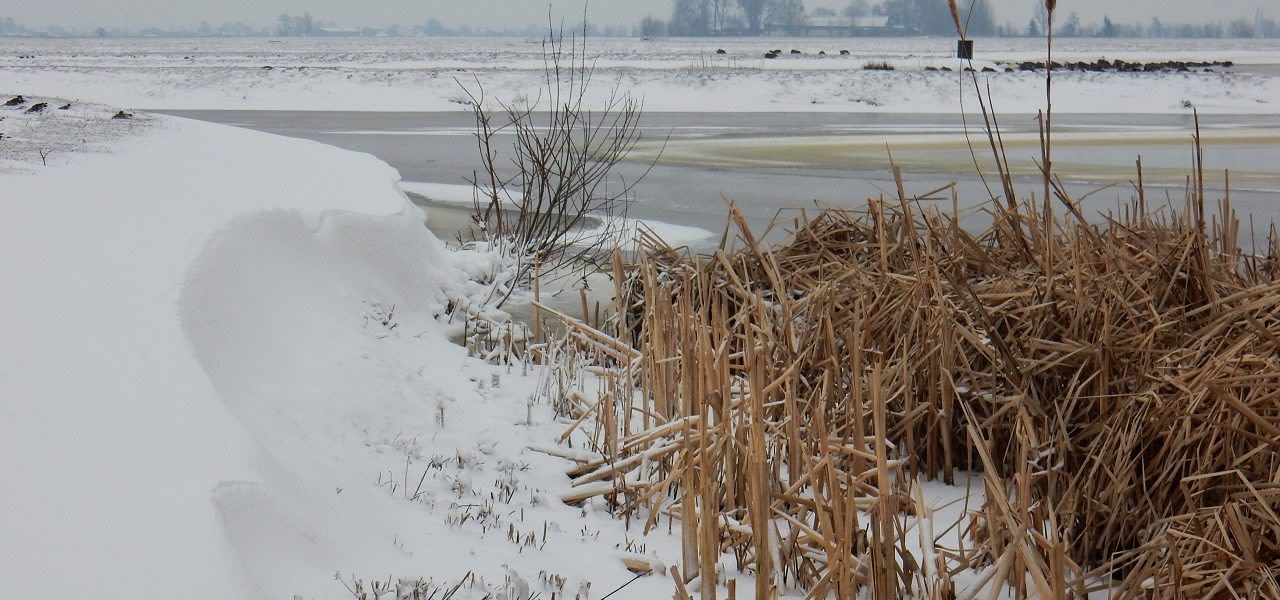 a57483c9-weerfotosneeuwduinen-1280x600