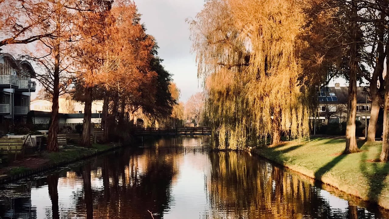 Verkleuring van de natuur in de herfst. Foto: Els Bax.