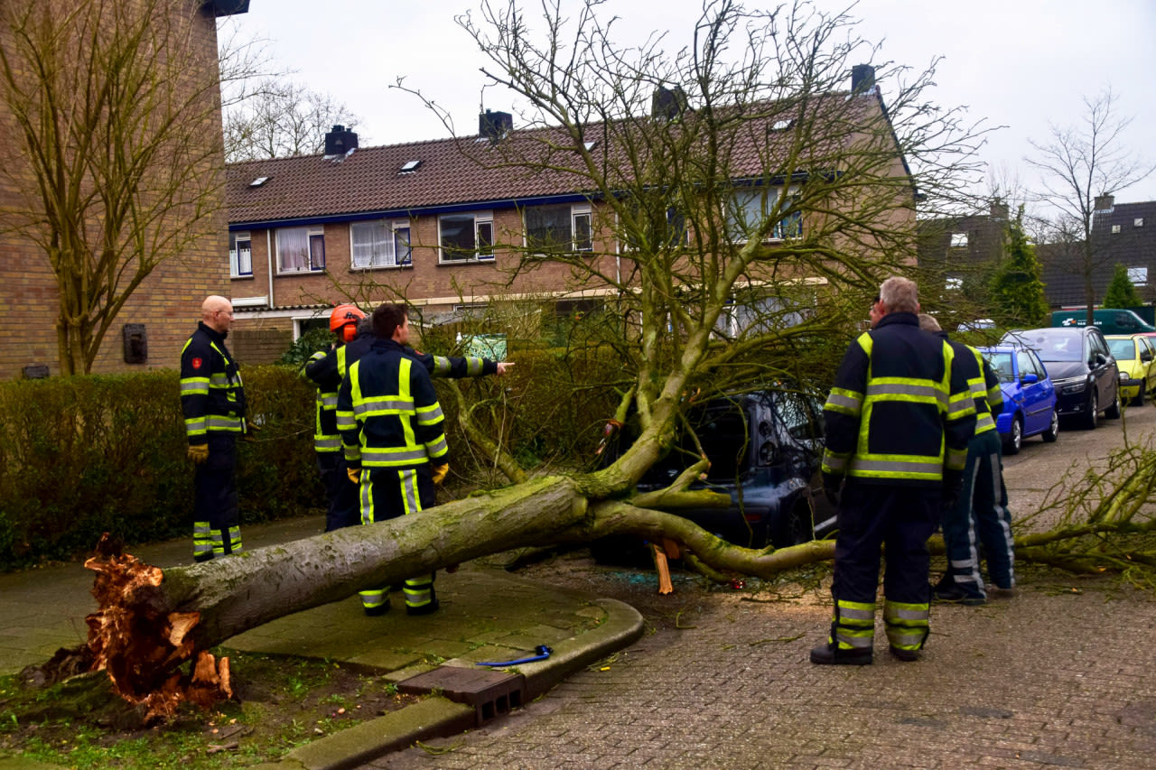 Stormschade-door-storm-en-zeer-zware-windstoten