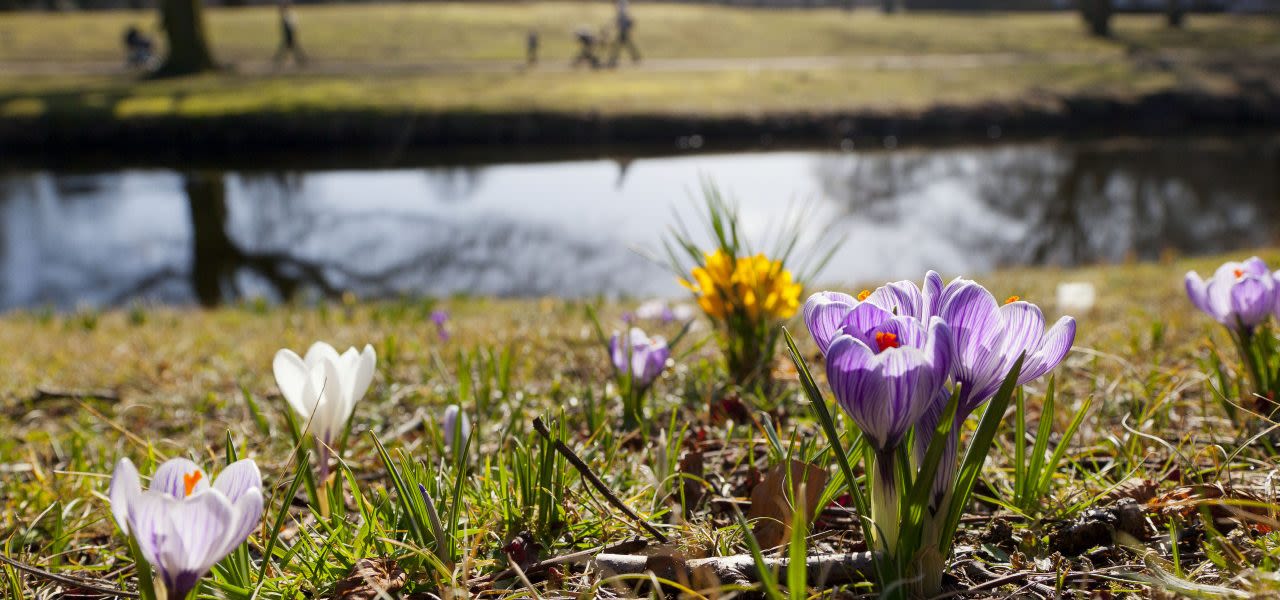 ANP-Eerste-lokale-lentedag-1280x600