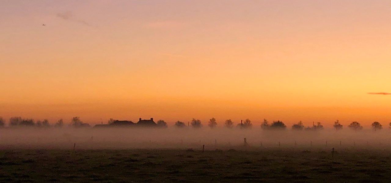 mist-zon-november-bartgoudeseune-e1607364408331