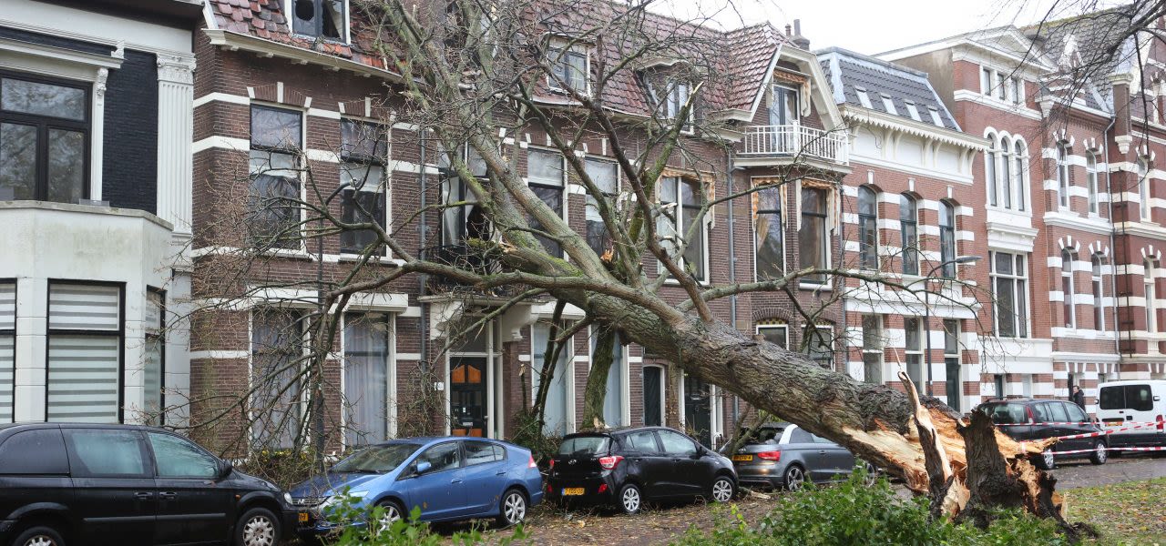 schade-storm-anp-1280x600