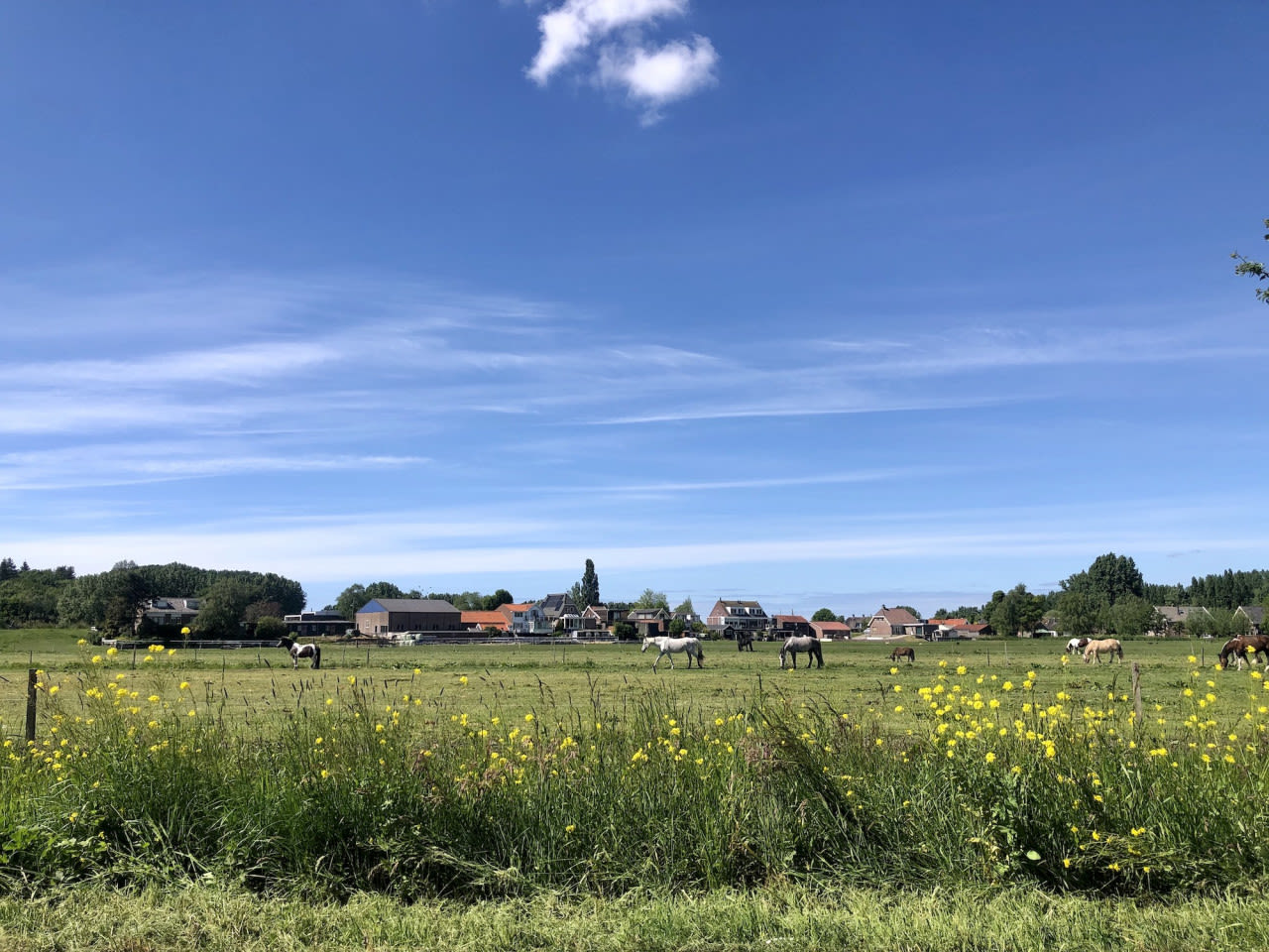 Sluierwolken. Foto: Jolanda Bakker.