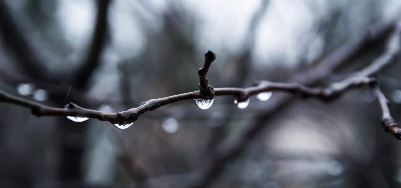 Blue_monday_regen_en_somber_klein-1280x600