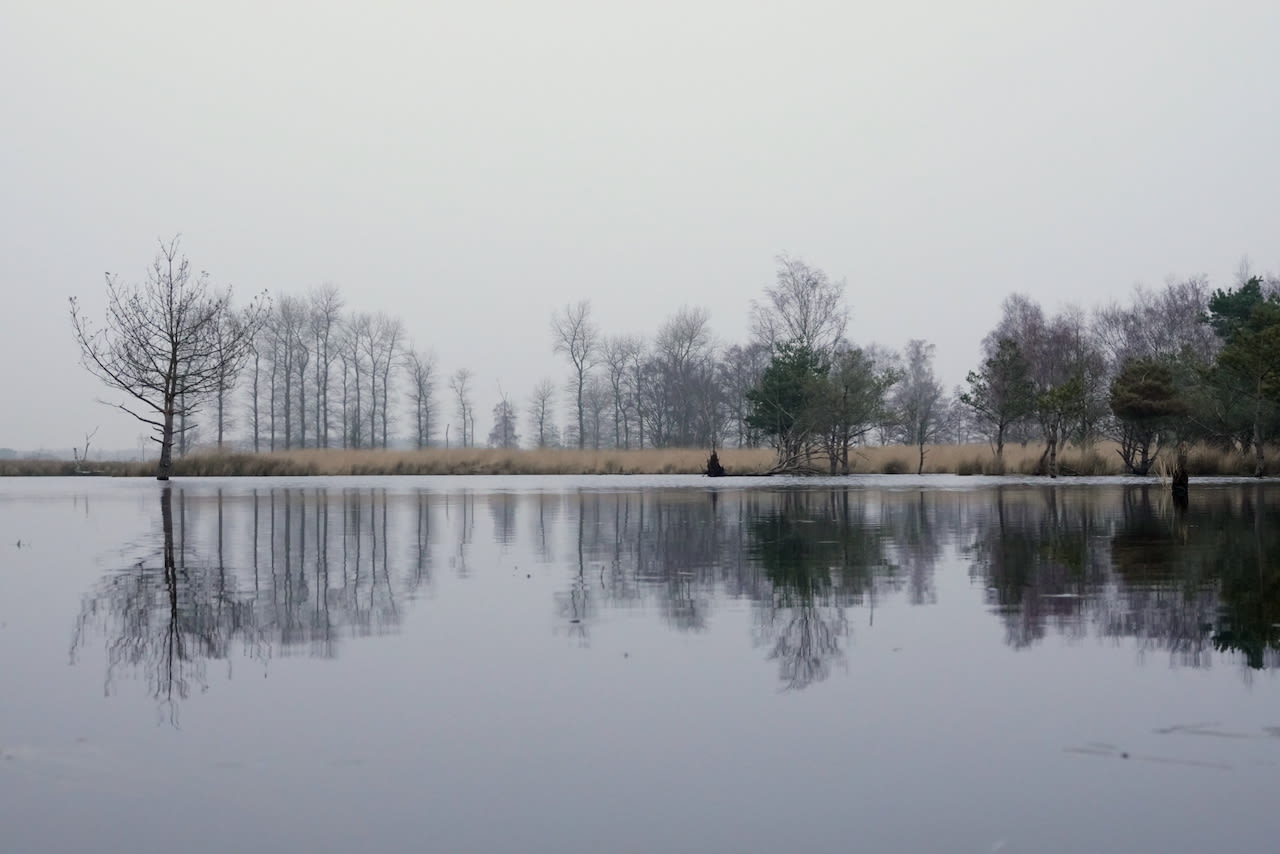 Grijs en koud winterweer. Foto: Ben Saanen