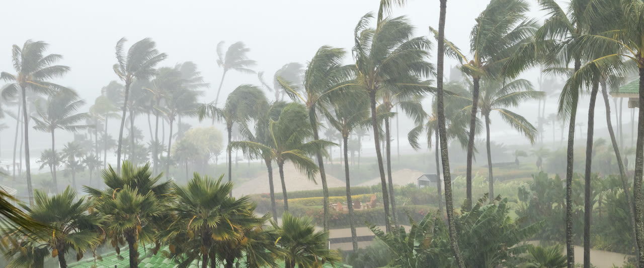 5d3db4c2-regen-en-wind-door-orkanen-en-tyfonen-deberarr