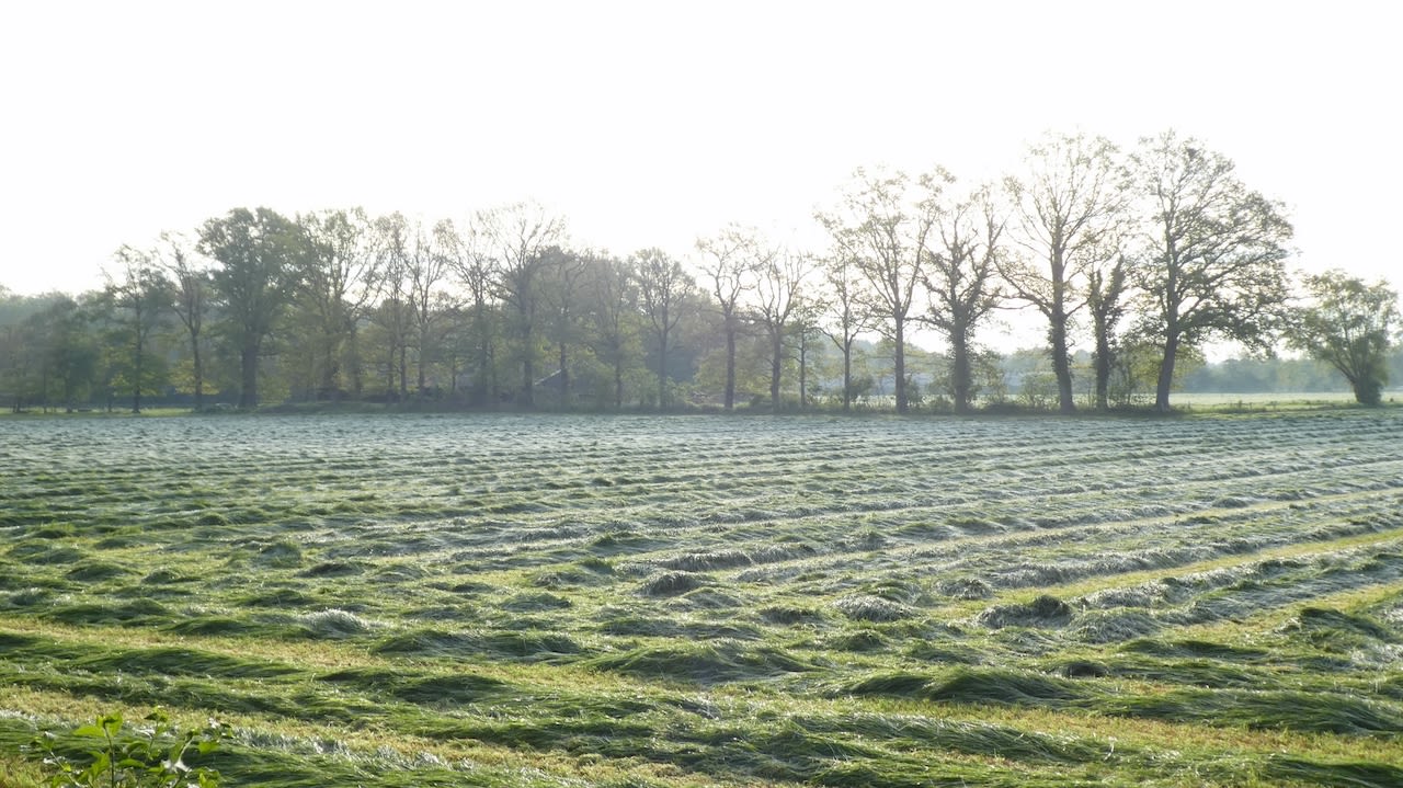In 2019 kwam het met IJsheiligen wel tot vorst aan de grond. Foto: Willy Bonnink-Naves