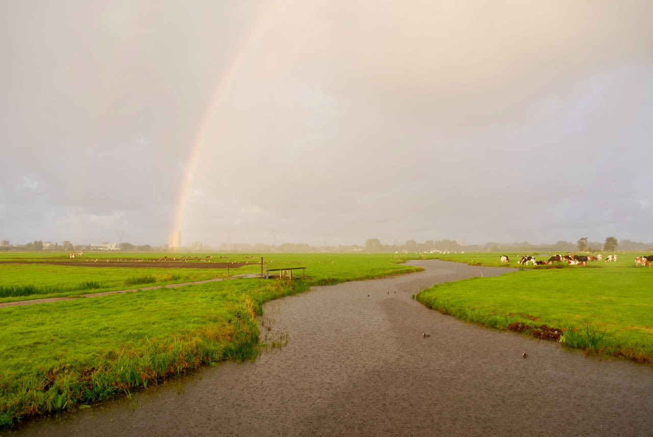 582cafe8-ton-wesselius-30-augustus-2020-regenboog